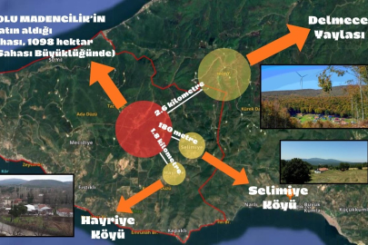 Delmece Yaylası'nda dev maden