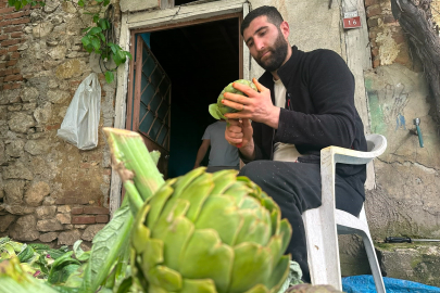 Enginar soyarak ayda 240 bin lira kazanıyor