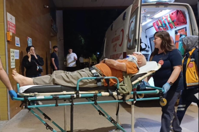 Erik toplamak için çıktığı ağaçtan düşerek yaralandı