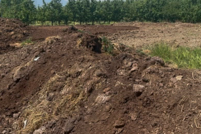 Organik gübre fiyatları geçen yıl ile aynı