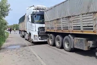 Bursa'da facianın eşiğinden dönüldü