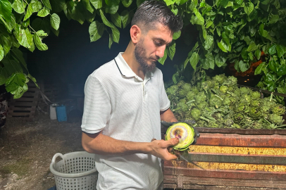 Ailecek enginar soyucular: Soyması 10 saniye sürüyor