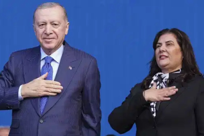 Özlem Çerçioğlu AK'landı