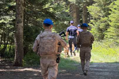 Uludağ'ın zümrüt yeşili ormanları Jandarma'ya emanet