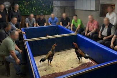 İzmir’de horoz dövüşü operasyonu: Çiftlik mühürlendi, 130 bin lira ceza kesildi