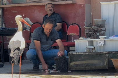 Balıkçı Ahmet ile leyleğin 10 yıllık kahvehane randevusu