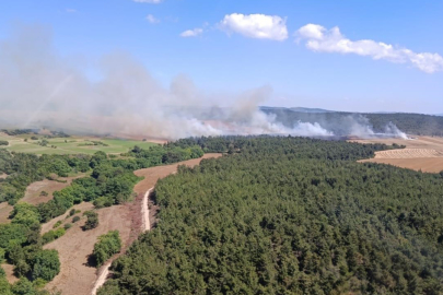 Çanakkale'de tarım arazisinde başlayan yangın ormana sıçradı