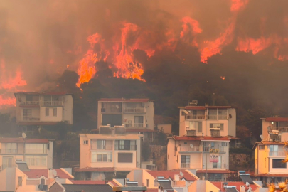 İzmir’de makilik alanda yangın