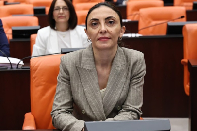 CHP'li Altaca Kayışoğlu: “Yurt dışındaki vatandaşlar ehliyet mağduriyeti yaşıyor"