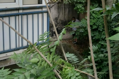 Bursa'da 17 yıl hapis cezasıyla aranan zanlı bahçede yakalandı
