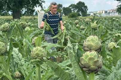 Enginarın yeni başkenti Bursa