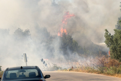 İznik'te korkutan yangın