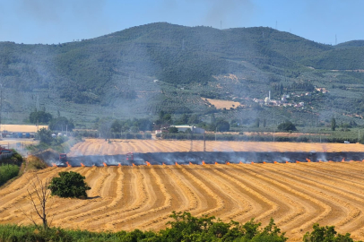  Gemlik Serbest Bölge'de yangın alarmı