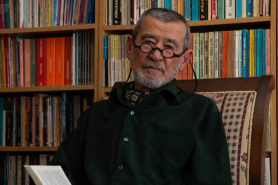 Şair Ahmet Telli entübe edildi