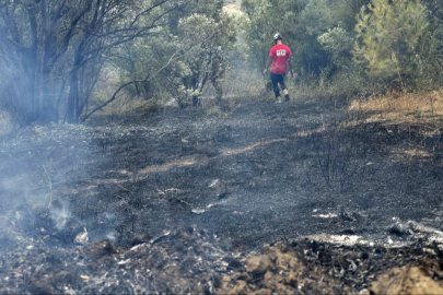 Mudanya'da rüzgarın etkisiyle büyüyen yangın kontrol altına alındı