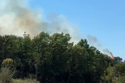 Kestel'deki orman yangını söndürüldü
