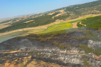 Tekirdağ'da orman yangını