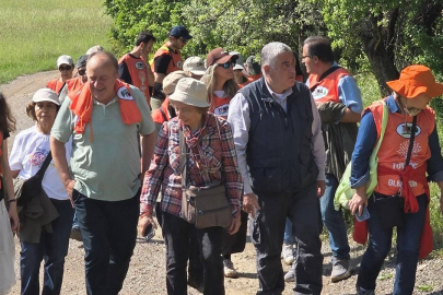 TEMA Vakfı gönüllülerine tahliye kararı