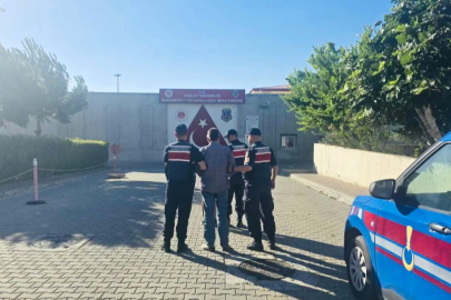Gömeç yangınına ilişkin 2 tutuklama