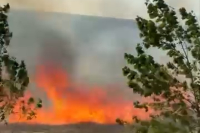 Bursa'da fabrikanın yanındaki arazide korkutan yangın