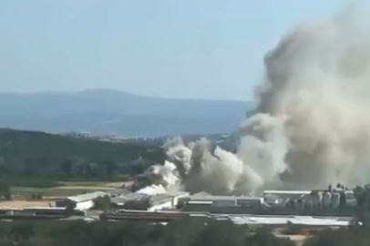 Mudanya'da tavuk çiftliğinde yangın çıktı