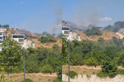 Bursa'da otluk alanda çıkan yangın söndürüldü