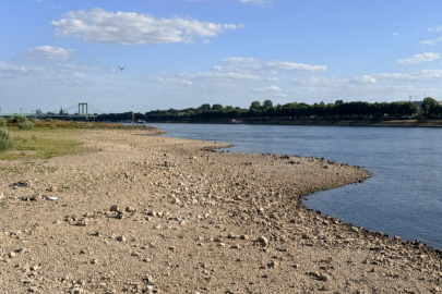 Almanya'da Ren Nehri'nde kuraklık alarmı