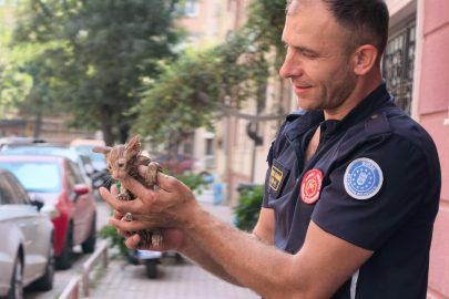 Bursa'da kedi kurtarma operasyonu