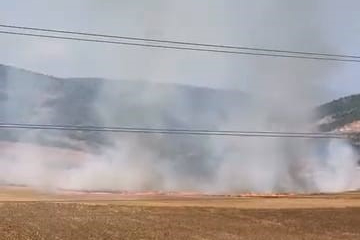 Bursa'da tarlalık alanı ateşe veren şüpheli yakalandı