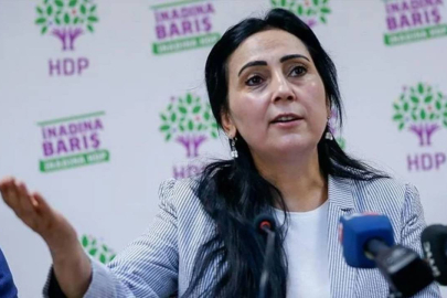Figen Yüksekdağ, 'çerçeve yasa' hakkında konuştu