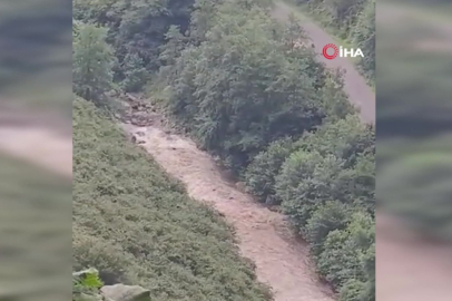 Giresun'da sel iki kız kardeşin ölümüne sebep oldu