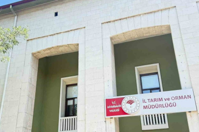 Diyarbakır'da kuduz alarmı! Kedinin ısırdığı çocuk entübe edildi