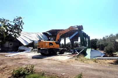 Bursa'da zeytinliğe yapılan kaçak depo yıkıldı