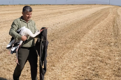 Elektrik akımına kapılan eşinin başından 5 gün ayrılmadı