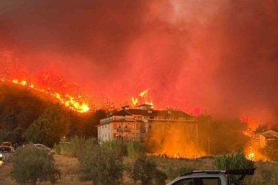 Fethiye'deki orman yangını evlere sıçradı