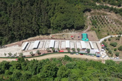 Gemlik’te hayvan yaşam alanı tartışması: Platform “kapalı”, belediye “ziyaret mümkün” dedi