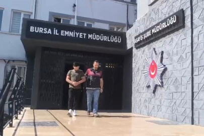 250 saatlik kamera kaydı izlediler, inşaat farelerini böyle çözdüler