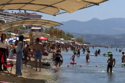 Bursa'nın sahillerinden sevindiren haber