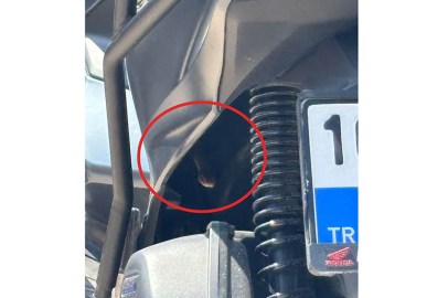 Bursa’da motosikletten çıkan yılan şoke etti