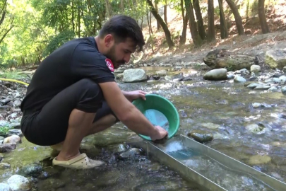 Türkiye’de altın çok arayan yok; Derelerde her gün 5 gram altın çıkarıyorlar