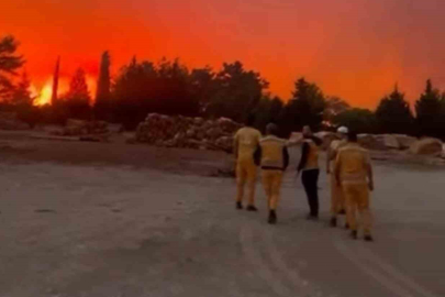 Orman yangını: Muğla-Denizli karayolu kapatıldı