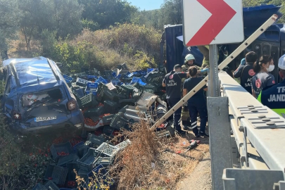 İznik'te virajı alamayan kamyon dehşet saçtı; 1 ölü, 1 yaralı