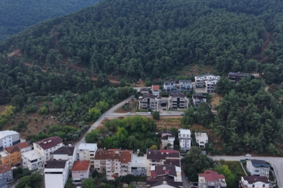 Bursa'da muhtardan mahalleliye 'Ayı' uyarısı