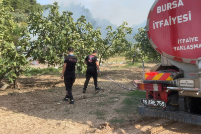 Bursa'da 'Yunusların' dikkati yangını önledi