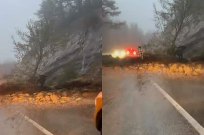 Uludağ yolunda korkutan heyelan