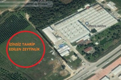 Av. Çiçek: 'Sirena Marine'in mühürlenmesi ve yıkılması gerekiyor'