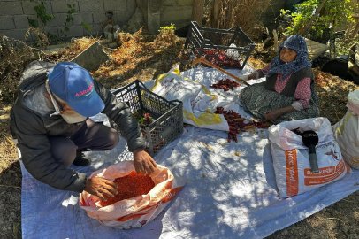 Karacabey'de 90 yaşındaki annenin evlat sevgisi acı biberi tatlı kıldı