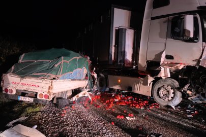 Tır ile kamyonet kafa kafaya çarpıştı; 2 ağır yaralı